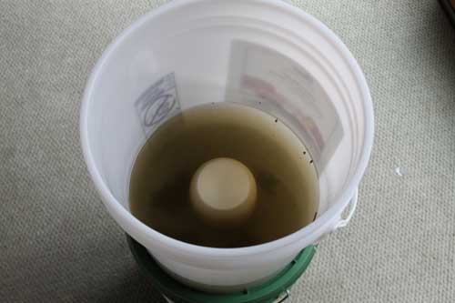 How to Make a Homemade Water Filter – 4/21/12
